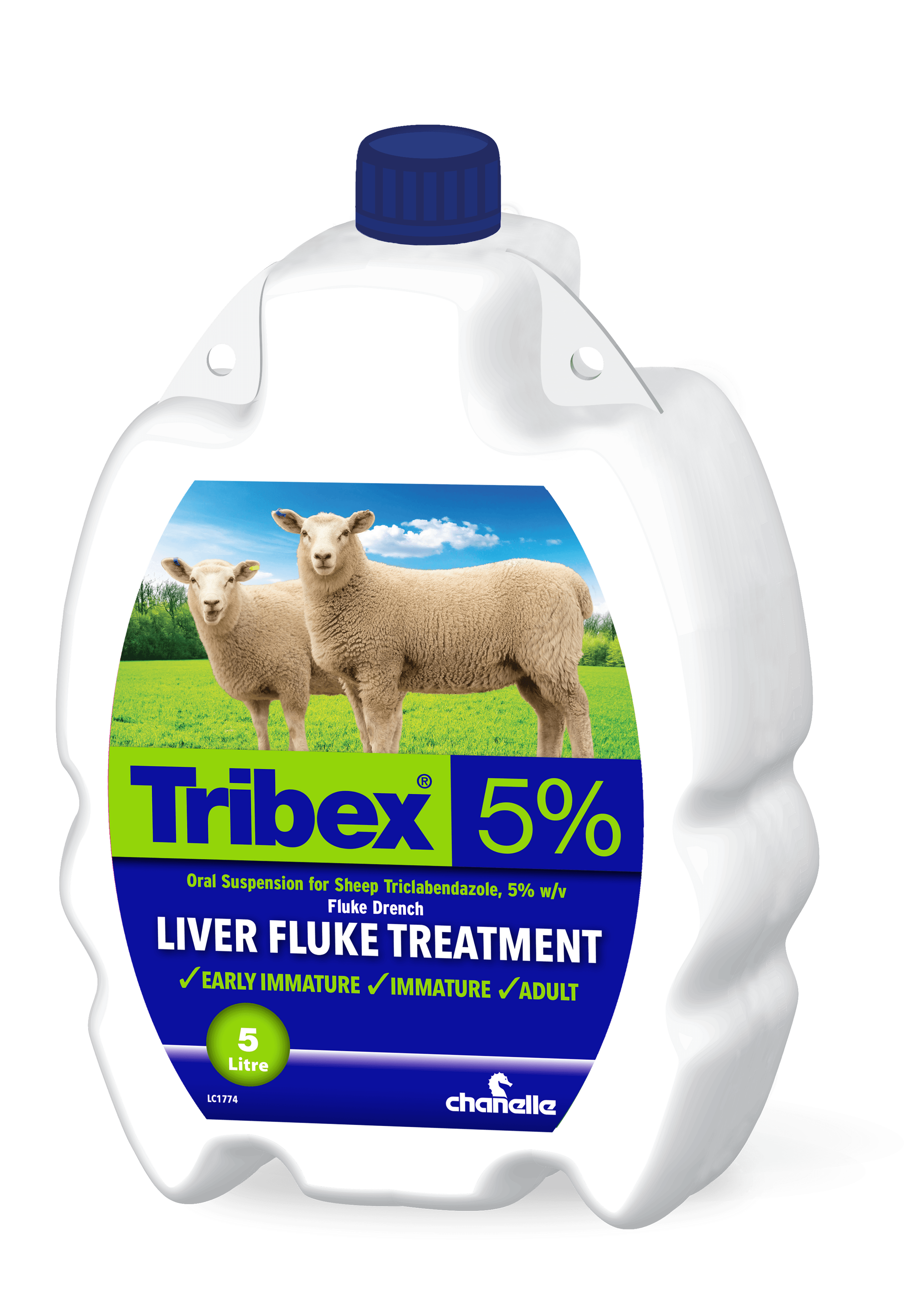 Liver Fluke Diseases & Solutions Farm Health First